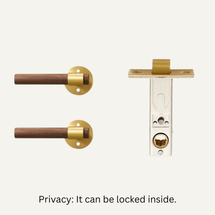 Paksa Handle and Lock