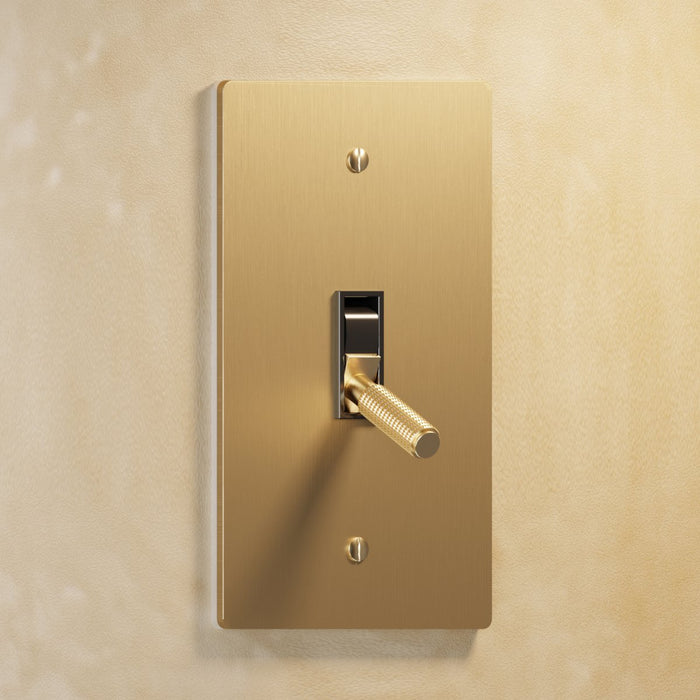 The Brass Toggle Switch