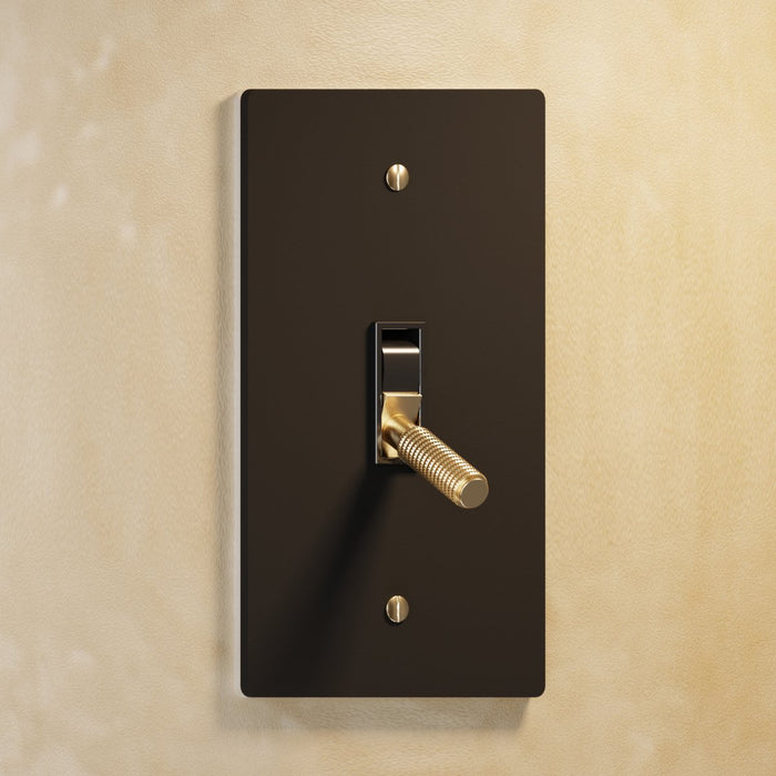 The Brass Toggle Switch