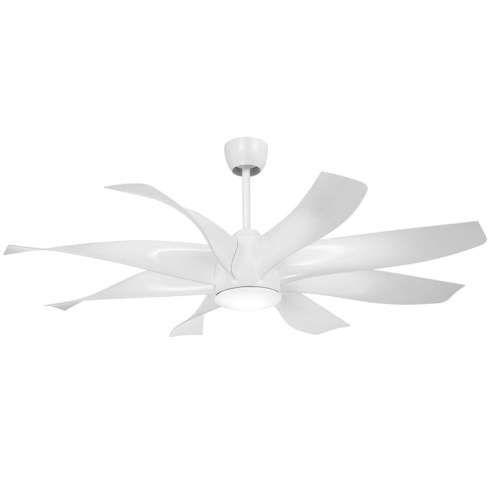 Dream Star Ceiling Fan with Light