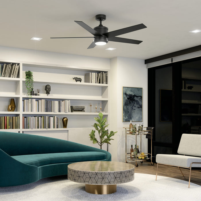 Brahm Ceiling Fan with Light