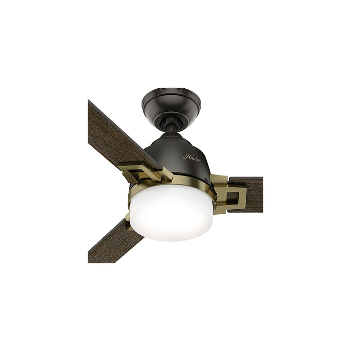 Leoni Ceiling Fan with Light